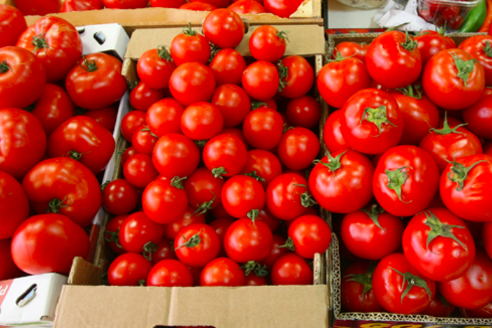 Россия потеряла 1,5 миллиарда долларов из-за продуктовых санкций, которые наложила на Турцию